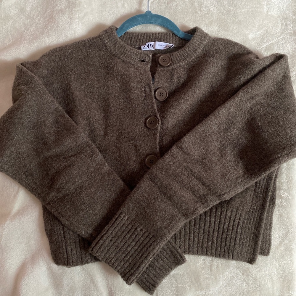 Zara Brown Button-Up Sweater